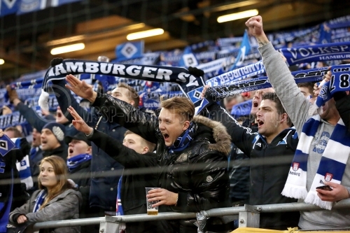 Hamburger SV - 1. FSV Mainz 05 am 23. November 2014 (© MSSP - Moritz Beck)