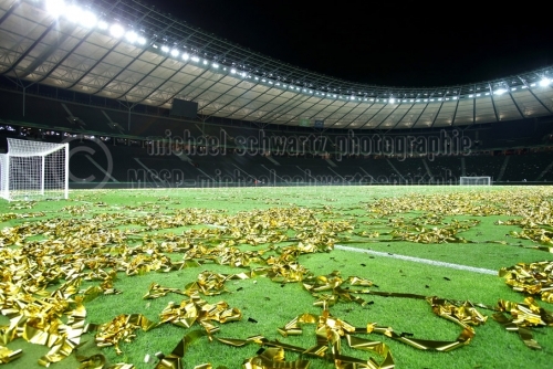 Pokalfinale Borussia Dortmund - VfL Wolfsburg am 30. Mai 2014 (© MSSP - Tom Kohler)