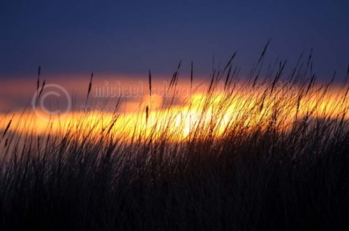 Sonnenuntergang in Kampen auf Sylt (© schwartz photographie)