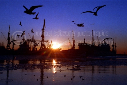 Sonnenuntergang im Hafen (© MSP - michael schwartz photo)