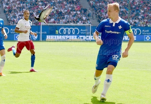 Hamburger SV - SV Darmstadt 98 am 28. Juli 2019 (© MSSP - Michael Schwartz)